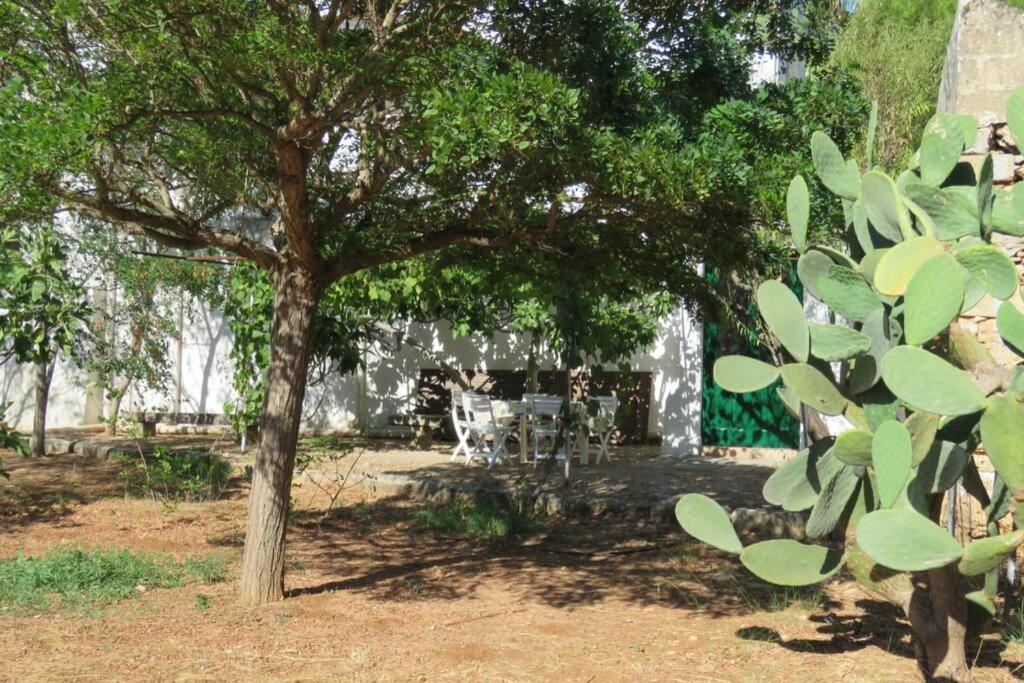 Casa Colonica Villa Gallipoli Buitenkant foto