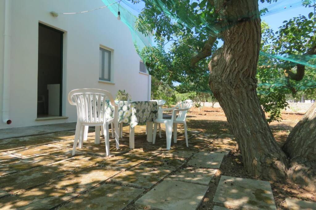 Casa Colonica Villa Gallipoli Buitenkant foto